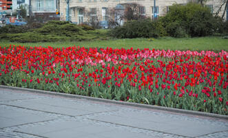 Mazowieckie, Poland, Warsaw