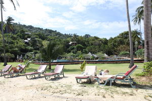 beach, day, eye level view, Ko Phi Phi Don, Krabi, natural light, palm, sunbathing, sunbed, sunny, Thailand, tree, vegetation, woman