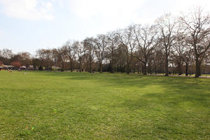 day, deciduous, England, eye level view, grass, London, park, spring, sunny, The United Kingdom, tree