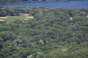 Central Park, day, elevated, lake, Manhattan, New York, park, sunny, The United States, tree, vegetation