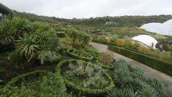 autumn, bush, day, diffuse, diffused light, Eden Project, elevated, England, garden, hedge, palm, shrub, The United Kingdom