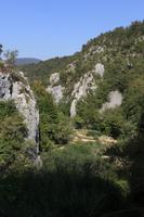 Croatia, day, elevated, forest, Karlovacka, mountain, sunny, tree, vegetation