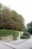 afternoon, Braunschweig, bush, day, Deutschland, eye level view, natural light, Niedersachsen, park, path, summer, tree, vegetation