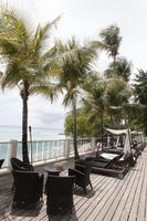 Barbados, cafe, chair, coconut palm, Cocos nucifera, day, eye level view, furniture, hotel, palm, spring, sunbed, sunny, table