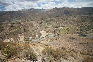 Arequipa, Arequipa, autumn, day, elevated, mountain, natural light, Peru, sunny, valley, Valley of Volcanoes, vegetation