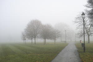 deciduous, England, eye level view, fog, grass, London, natural light, overcast, park, path, street light, The United Kingdom, tree, winter