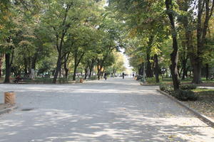 alley, autumn, broad-leaf tree, broad-leaved tree, Bulgaria, day, eye level view, leaves, park, Plovdiv, sunny