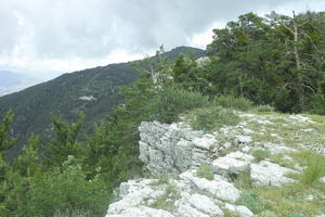 above, afternoon, below, day, elevated, France, Gattieres, herb, mountain, nature, outdoor lighting, outdoors, overcast, Provence Alpes Cote D