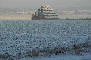 Poland, Wielkopolskie