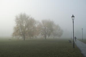 deciduous, England, eye level view, fog, grass, London, natural light, overcast, park, street light, The United Kingdom, tree, winter