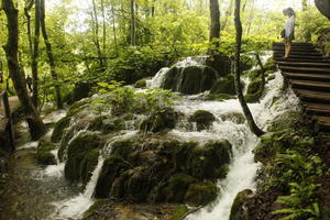 Croatia, day, diffuse, diffused light, eye level view, Karlovacka, natural light, summer, waterfall, woodland