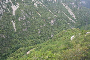 day, elevated, France, mountain, natural light, summer, woodland