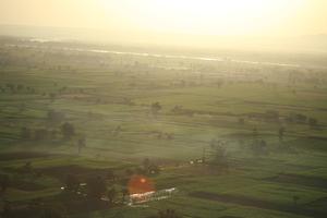 aerial view, dusk, East Timor, Egypt, Egypt, field, palm, vegetation