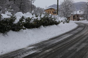 ambient light, bush, day, diffuse, diffused light, eye level view, Italia , morning, natural light, overcast, plant, road, snow, Veneto, winter