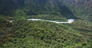 day, diffuse, diffused light, elevated, natural light, New Zealand, river, summer, West Coast, woodland