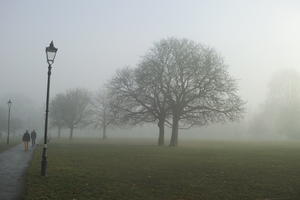 deciduous, England, eye level view, fog, grass, London, natural light, overcast, park, street light, The United Kingdom, tree, winter