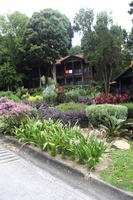 ambient light, day, eye level view, garden, Kedah, Malaysia, overcast, plant, resort, tree, tropical, vegetation, villa