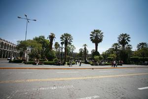 Arequipa, Arequipa, autumn, day, eye level view, natural light, palm, Peru, street, sunny, tree, vegetation