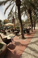 Alicante, cafe, chair, day, eye level view, furniture, natural light, palm, Spain, sunny, table, Valenciana, vegetation