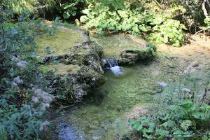 bush, Croatia, day, elevated, Karlovacka, stream, sunny, vegetation