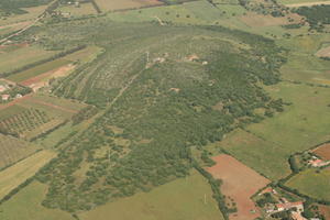 aerial view, Alghero, day, field, Italia , mountain, Sardegna, summer, woodland