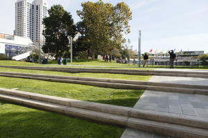 autumn, broad-leaf tree, broad-leaved tree, California, day, eye level view, grass, park, pavement, San Francisco, steps, sunny, The United States