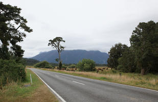 day, diffuse, diffused light, eye level view, natural light, New Zealand, overcast, road, summer, vegetation, West Coast