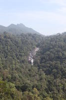 day, elevated, forest, Kedah, Malaysia, mountain, sunny, vegetation