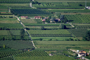 aerial view, day, field, Italia , Lombardia, summer, sunny