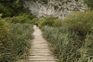 bridge, Croatia, day, decking, diffuse, diffused light, eye level view, Karlovacka, natural light, reed, shrub, summer