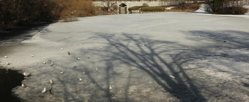 day, elevated, ice, Norway, Oslo, sunny, winter