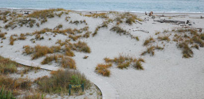 day, diffuse, diffused light, elevated, grass, natural light, New Zealand, overcast, plant, sand dune, summer, West Coast