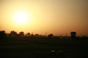 clear, dark, dusk, East Timor, Egypt, Egypt, evening, eye level view, palm, silhouette, sky, sun, sunset