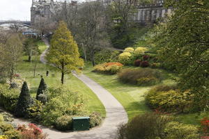 afternoon, bush, day, Edinburgh, elevated, natural light, park, Scotland, spring, The United Kingdom, tree, vegetation