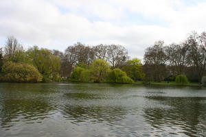 day, England, eye level view, greenery, London, park, pond, spring, The United Kingdom, tree, weeping willow