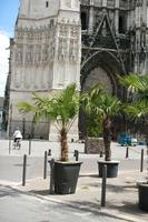 bollard, Champagne-Ardenne, city, day, eye level view, France, palm, potted plant, street, summer, Troyes