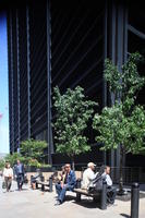 day, eye level view, Manhattan, New York, people, plaza, sitting, street, sunny, The United States, tree