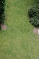 above, day, England, garden, grass, London, The United Kingdom, vegetation