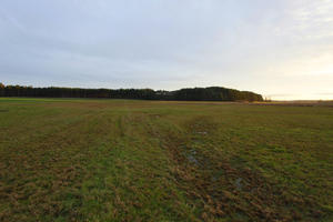 afternoon, day, diffuse, diffused light, eye level view, field, Kopanica, Poland, treeline, Wielkopolskie, winter