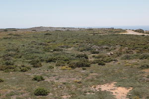 day, eye level view, Faro, Faro, flower, greenery, ground, open space, path, Portugal, rockery, rocks, seascape, shrub, summer, sunlight, sunny, vegetation, waterfront