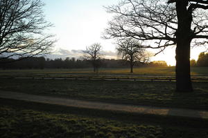 dusk, England, eye level view, grass, London, park, sunny, The United Kingdom, tree