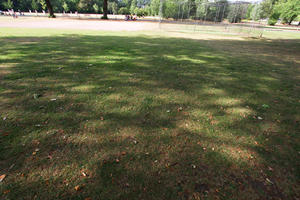 day, direct sunlight, England, eye level view, grass, London, park, shady, summer, sunny, The United Kingdom