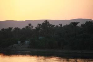 dusk, East Timor, Egypt, Egypt, eye level view, palm, river, river Nile, silhouette, tree, vegetation