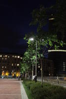 artificial lighting, Bilbao, eye level view, night, Pais Vasco, Spain, tree, vegetation