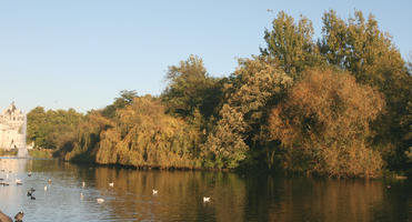 afternoon, autumn, bird, day, England, eye level view, lake, London, park, sunny, The United Kingdom, treeline