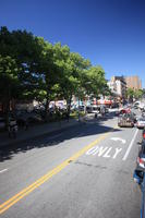 building, day, elevated, Manhattan, New York, street, sunny, The United States, tree, vegetation