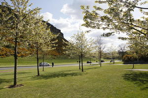 afternoon, blossom, day, Edinburgh, eye level view, grass, natural light, Scotland, spring, The United Kingdom, tree