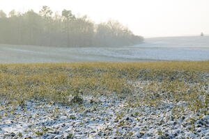 Poland, Wielkopolskie