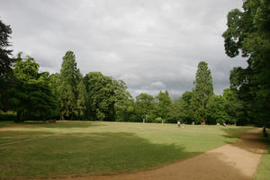 Abingdon, day, England, eye level view, garden, grass, natural light, park, summer, sunny, The United Kingdom, tree, treeline