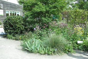 day, England, eye level view, garden, natural light, park, plant, The United Kingdom, Woking